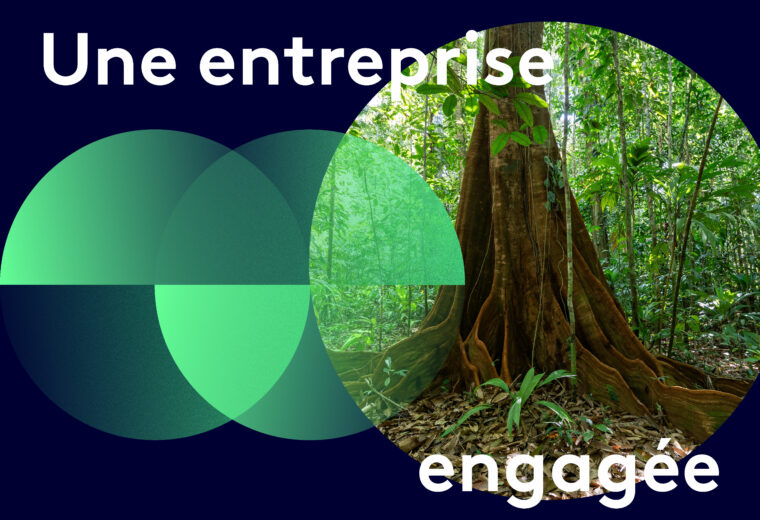 FTV_RA24_Base_BAT2_Page_35