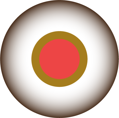 Rapport d'activité 2025